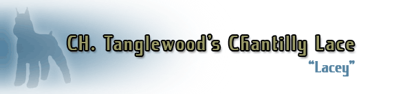 CH. Tanglewood's Chantilly Lace