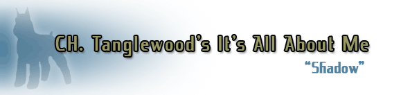 CH. Tanglewood's It's All About Me