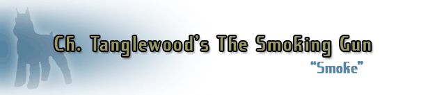 Ch. Tanglewood's The Smoking Gun