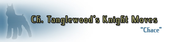 Ch. Tanglewood's Knight Moves