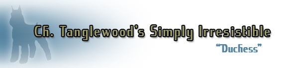 Ch. Tanglewood's Simply Irresistible
