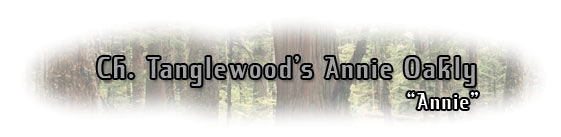 Ch. Tanglewood's Annie Oakly
