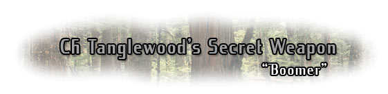 Ch. Tanglewood's Secret Weapon
