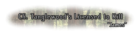 Ch. Tanglewood's Licensed to Kill, "James"