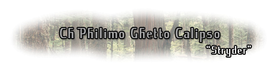 Ch. Tanglewood's Ch. Philimo Ghetto Calipso "Stryder"